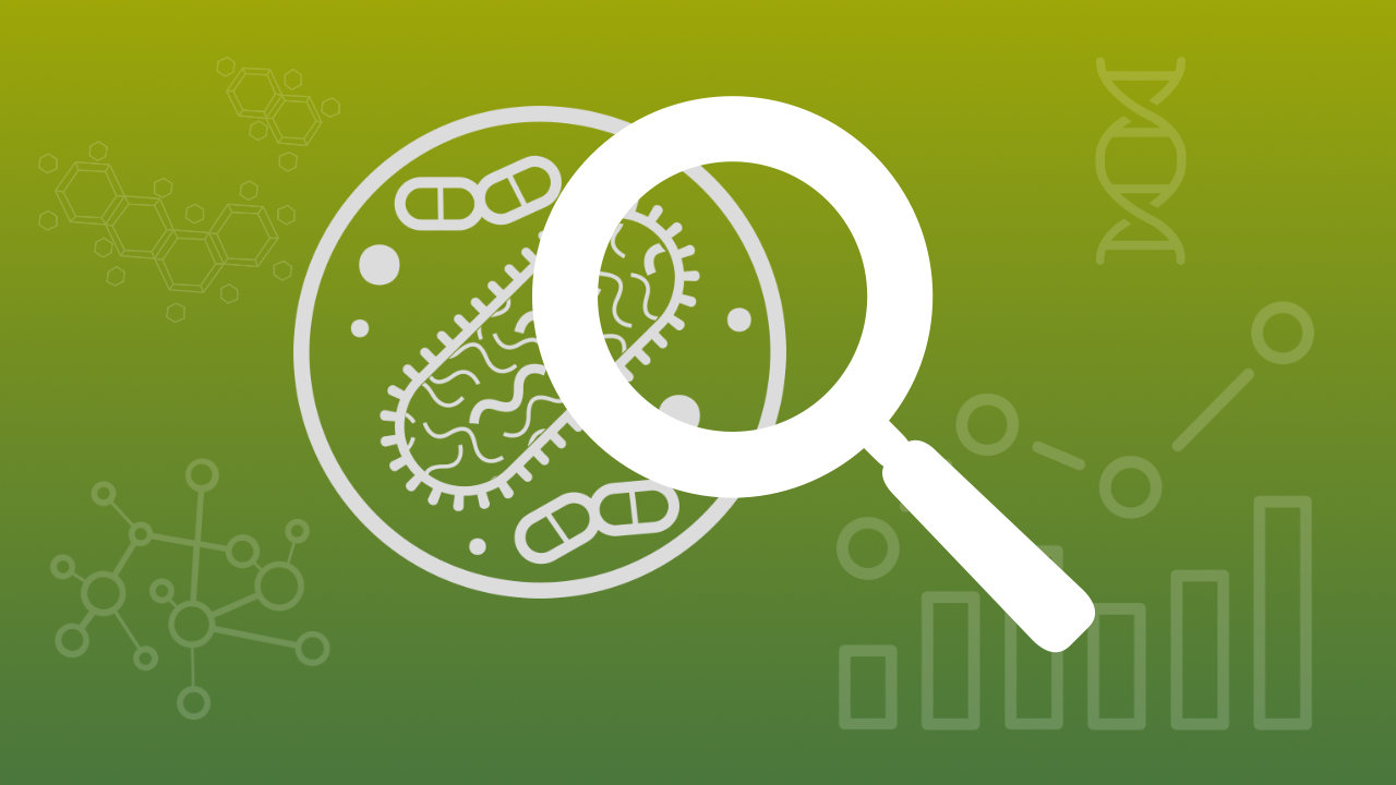 Bild på ett förstoringsglas