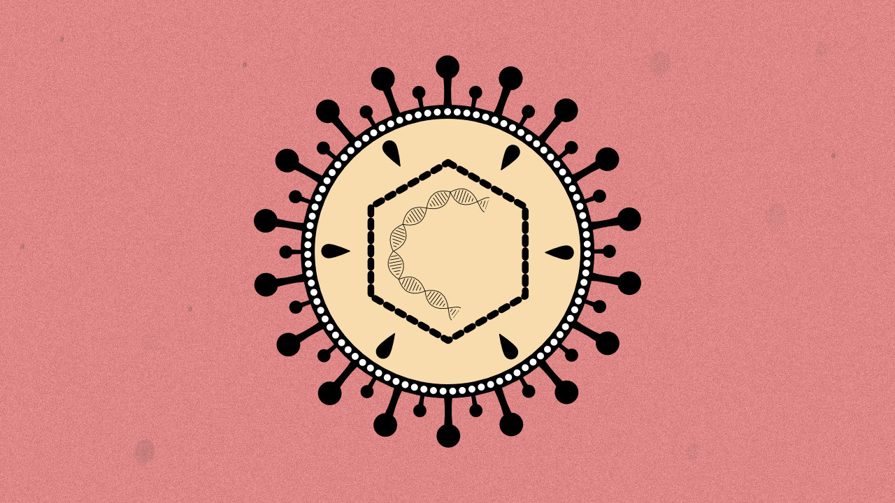 Bild på hepatit B-virus