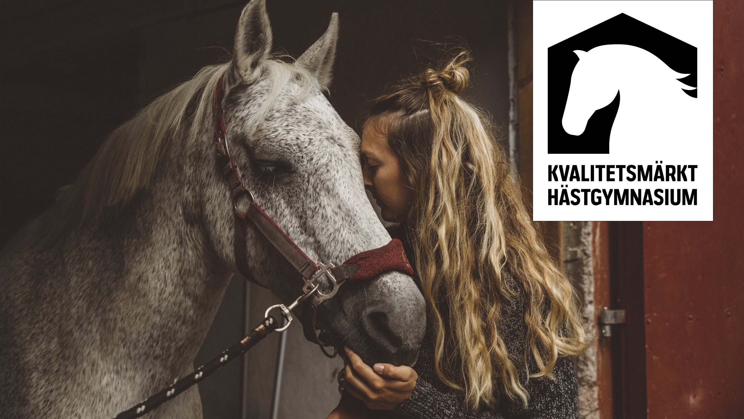 Elev står lutad mot häst, logotyp för Kvalitetsmärkt hästgymnasium