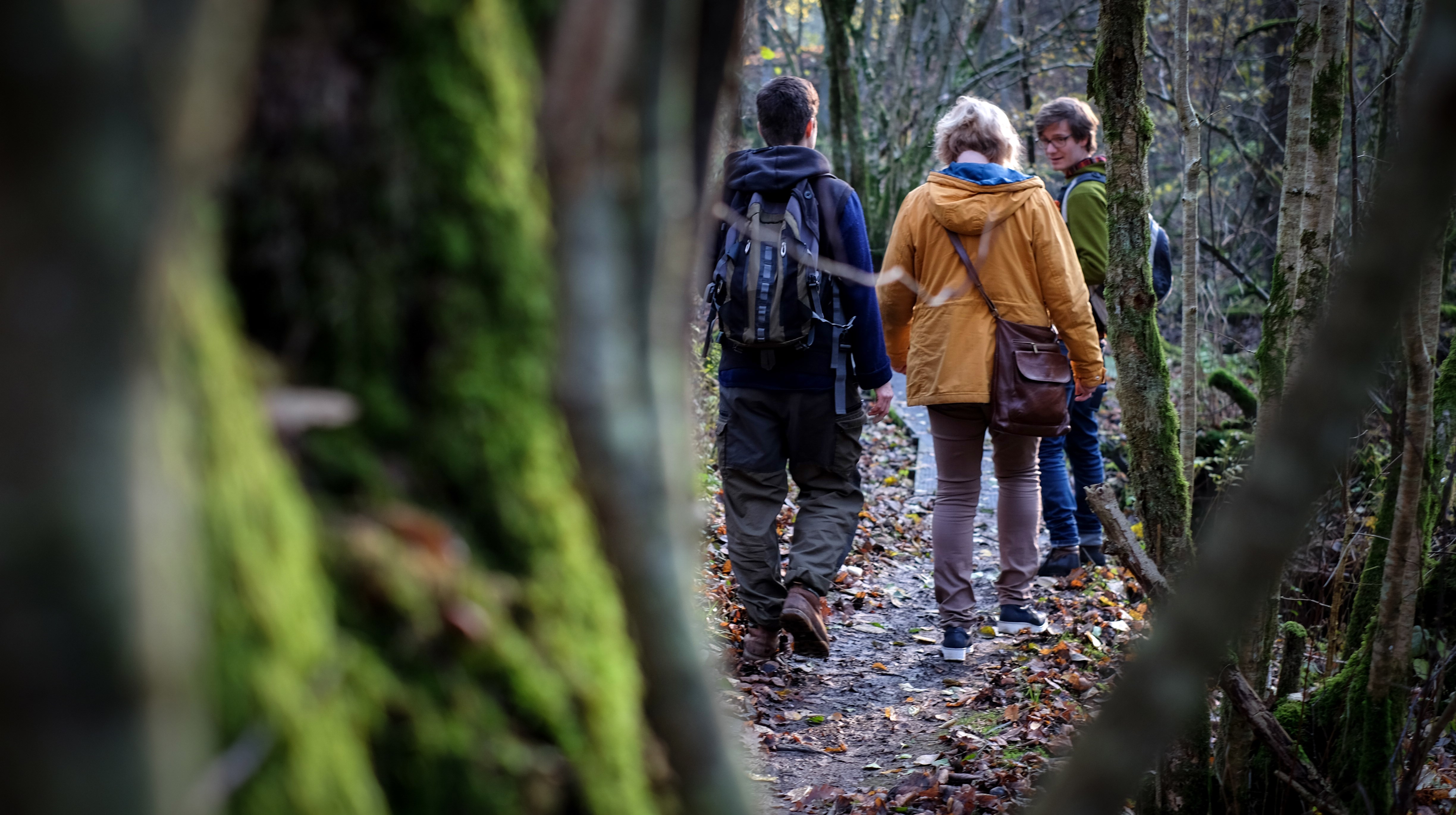 Vandring i Lärjedalen med Grön rehab, Angereds Närsjukhus.