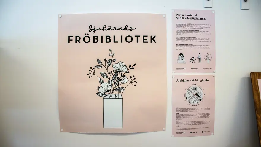 Tre rosa affischer sitter på en vägg. De tre affischerna berättar om varför fröbiblioteket har startats och hur man använder det.