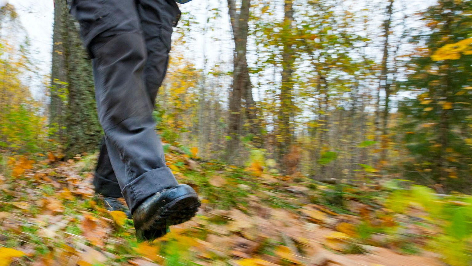 Ingen beskrivning tillgänglig